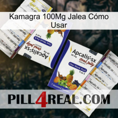 Kamagra 100Mg Jalea Cómo Usar 12